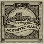 Ernie Ball Earthwood Cordes basse acoustique
